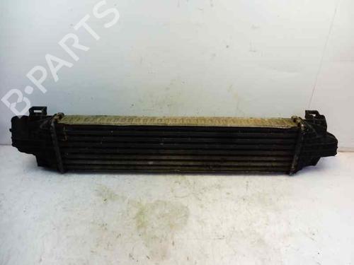 Intercooler FORD FOCUS II Turnier (DA_, FFS, DS) | BP1841897M30