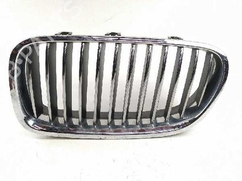 Grill/Gitter BMW 5 (F10) 520 d (184 hp) 5113700727 | 51137261355 | 51137203649