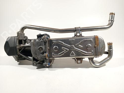 Egr SEAT IBIZA IV (6J5, 6P1)  | BP23211668M69 