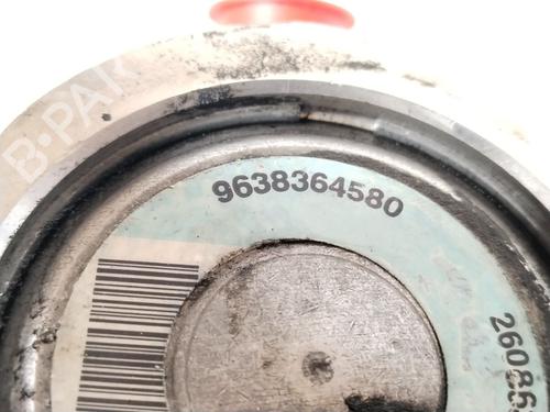 Steering pump PEUGEOT 206 Hatchback (2A/C) 1.4 HDi eco 70 | BP32498324M99