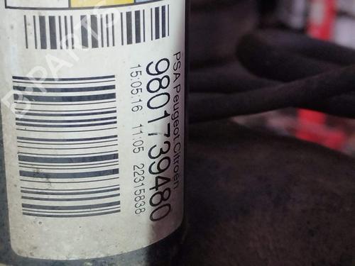 Left rear shock absorber CITROËN C3 II (SC_) 1.2 VTi 82 | BP37459985M18 - Image 2