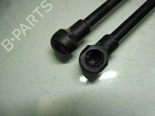 Tailgate lift support BMW 2 Coupe (F22, F87) 218 d | BP14301238C138 