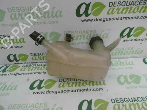 Expansion tank RENAULT MEGANE II (BM0/1_, CM0/1_)  | BP1990965C120 