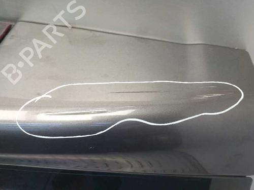 Tailgate LAND ROVER DISCOVERY III (L319)  | BP3271975C6 