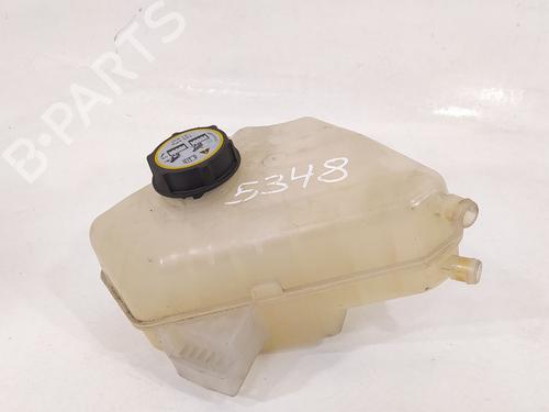 Expansion tank FORD FIESTA VI (CB1, CCN)  | BP12253261C120 