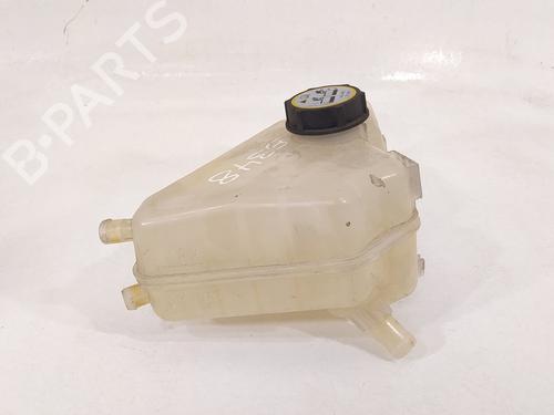 Expansion tank FORD FIESTA VI (CB1, CCN)  | BP12253261C120 