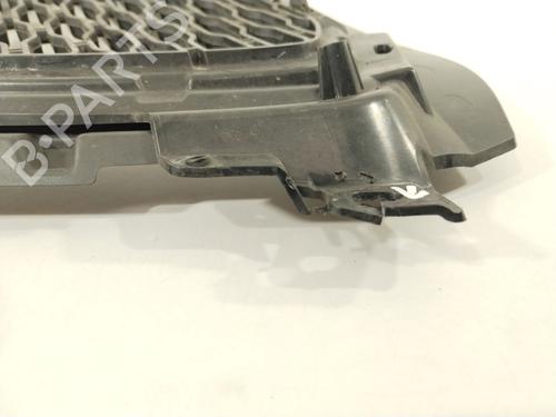 Grille LAND ROVER RANGE ROVER SPORT II (L494) 3.0 TDV6 4x4 | BP26552984C40