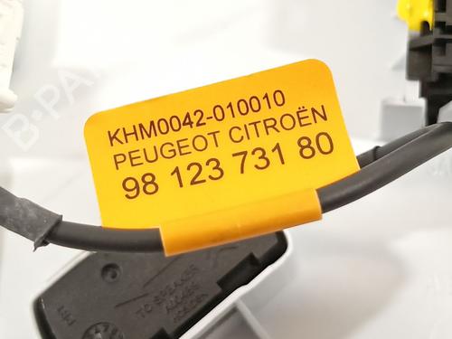 Innerbelysning PEUGEOT 208 II (UB_, UP_, UW_, UJ_)  | BP19794188I8 