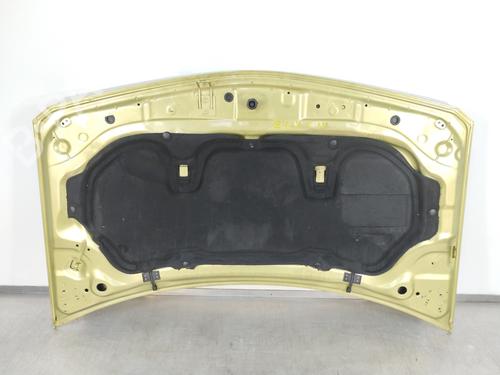 Hood RENAULT MEGANE II (BM0/1_, CM0/1_)  | BP10327067C1 
