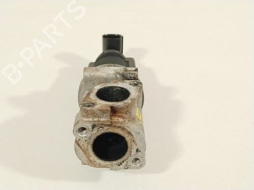Egr FIAT GRANDE PUNTO (199_) 1.9 D Multijet | BP28071656M69
