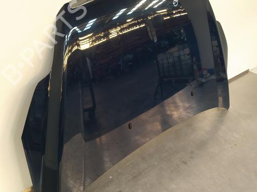 Hood FORD FOCUS II (DA_, HCP, DP)  | BP7905252C1 