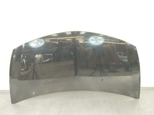 Used Hood RENAULT CLIO III (BR0/1, CR0/1) [2005-2014]  12253591