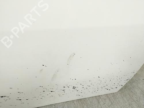 Right front door CITROËN JUMPY I (U6U_)  | BP16776913C3 