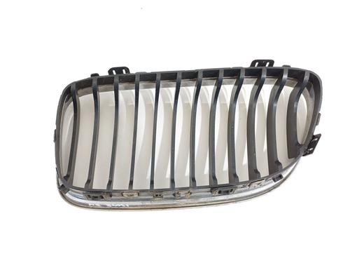 Grille BMW 3 (E90) 320 i | BP22316621C40 