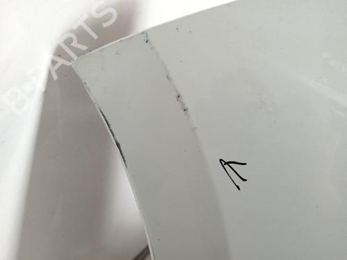 Front bumper RENAULT SCÉNIC III (JZ0/1_) 1.5 dCi | BP32163453C7 