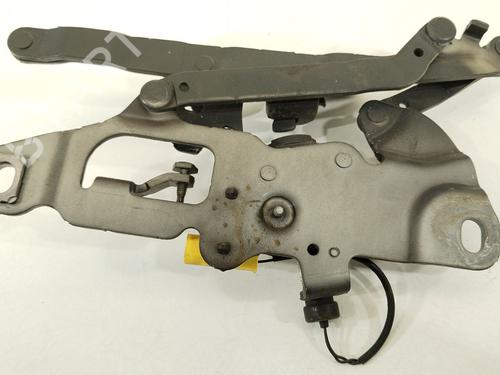 Hinge/Door check strap BMW 5 Touring (F11) 525 d xDrive | BP28125477C146