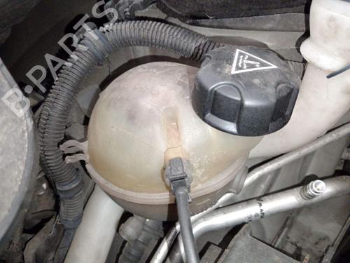 expansion-tank-citroen-c3-ii-sc_-2009-38443485 main image