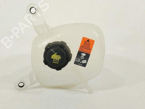 expansion-tank-nissan-qashqai-iii-j12-2021-35900943 main image