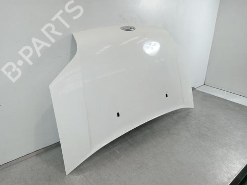Hood FORD TRANSIT CONNECT (P65_, P70_, P80_)  | BP19182963C1