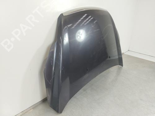 Hood FORD FOCUS II (DA_, HCP, DP)  | BP12253546C1 