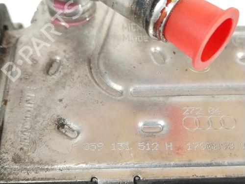 Egr AUDI A6 C6 (4F2) 3.0 TDI quattro | BP29174994M69 