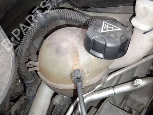 expansion-tank-citroen-c3-ii-sc_-2009-38443485 main image