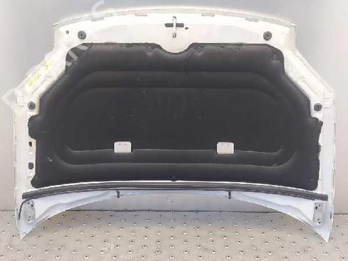Hood CITROËN BERLINGO / BERLINGO FIRST Box Body/MPV (M_) 1.6 HDI 90 (MB9HX, MC9HX) | BP7568069C1 