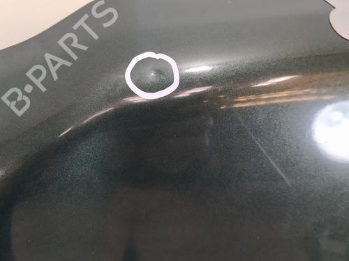 Hood LAND ROVER FREELANDER I (L314)  | BP9074718C1 