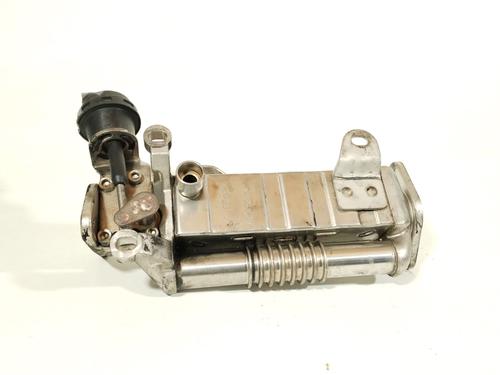 Egr MINI MINI COUNTRYMAN (R60) Cooper D | BP32079877M69 