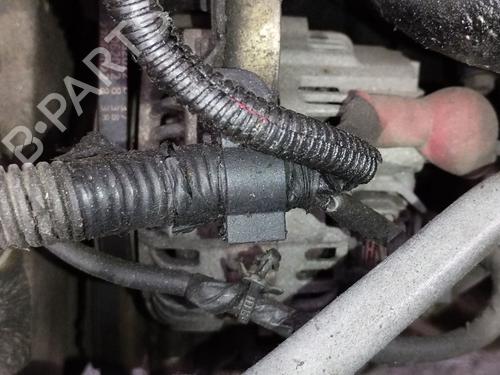 Used Alternator NISSAN X-TRAIL I (T30) [2001-2013]  30059369