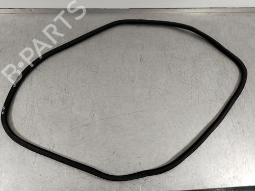 Rubber door seal PORSCHE PANAMERA (970) 3.0 D | BP26519267C142 