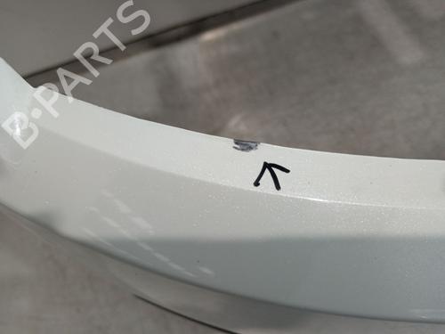 Front bumper RENAULT SCÉNIC III (JZ0/1_) 1.5 dCi | BP32163453C7 