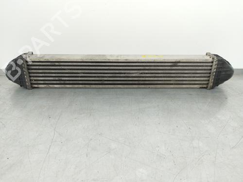 Intercooler MERCEDES-BENZ A-CLASS (W169)  | BP10565411M30 