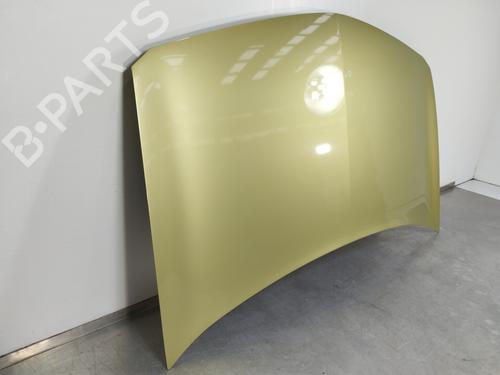 Hood RENAULT MEGANE II (BM0/1_, CM0/1_)  | BP10327067C1 