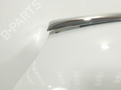 Hood CITROËN C4 Grand Picasso I (UA_) 1.6 HDi | BP10081459C1