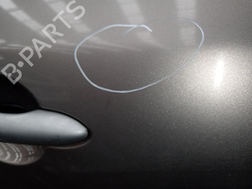 Right front door RENAULT MEGANE III Hatchback (BZ0/1_, B3_) 1.9 dCi (BZ0N, BZ0J) | BP29505632C3