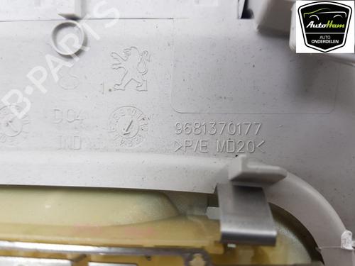 Interior roof light PEUGEOT 3008 I MPV (0U_) 1.6 THP | BP15387196I8 