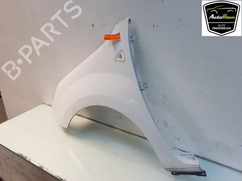 Left front fenders RENAULT KANGOO / GRAND KANGOO II (KW0/1_) 1.5 dCi 70 (KW0V, KW0A) | BP12037585C41 