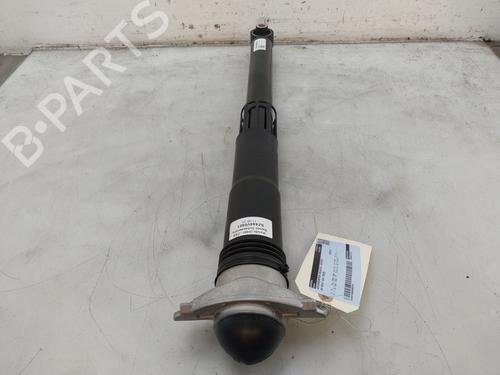 Right rear shock absorber VW GOLF VIII Variant (CG5, DB5) 2.0 TDI | BP29750310M19
