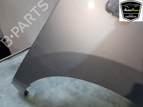 Right front fenders DACIA LODGY (JS_) 1.2 TCe (JSAY, JSM0) | BP22333304C42 