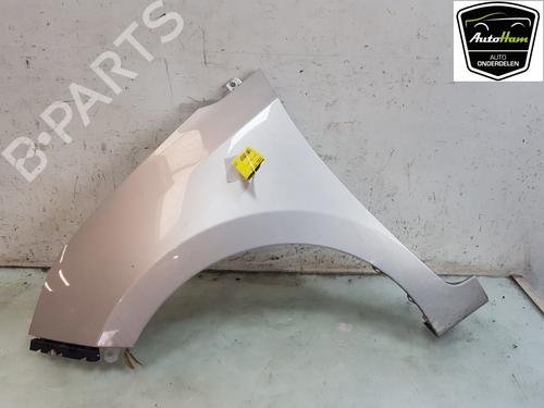 Used Left front fenders HYUNDAI i10 II (BA, IA) 1.0 (67 hp) 17374038