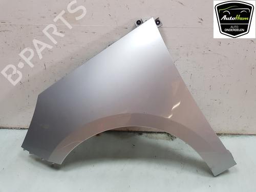 Used Left front fenders RENAULT SCÉNIC III (JZ0/1_) 2.0 16V (JZ0G, JZ0P, JZ1E, JZ1P) (140 hp) 19944596