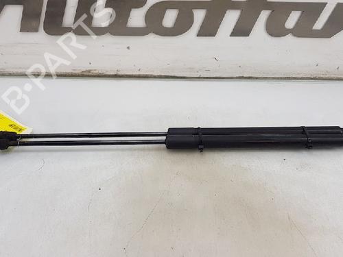 Tailgate lift support FORD FOCUS III 1.6 TDCi | BP13143048C138 