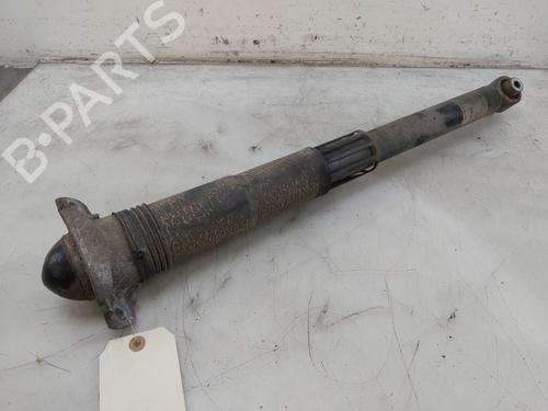 Right rear shock absorber VW GOLF VIII (CD1, DA1) 2.0 TDI | BP30275582M19