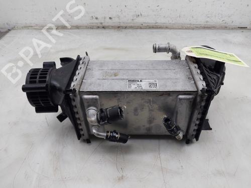 Intercooler VW GOLF VIII (CD1, DA1) 1.5 eTSI | BP30610774M30 