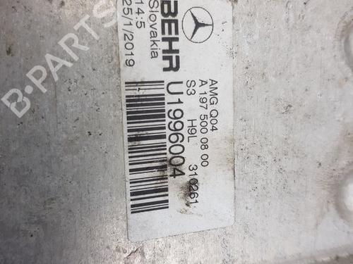 Oil radiator MERCEDES-BENZ AMG GT (C190) GT R (190.379) | BP20643804M33 