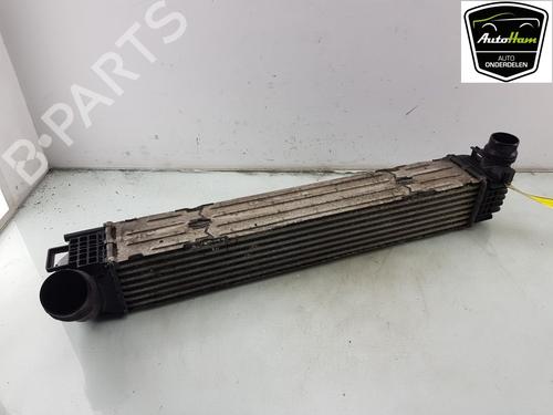 Used Intercooler RENAULT MEGANE III Coupe (DZ0/1_) 2.0 TCe (DZ1N) (250 hp) 19801973
