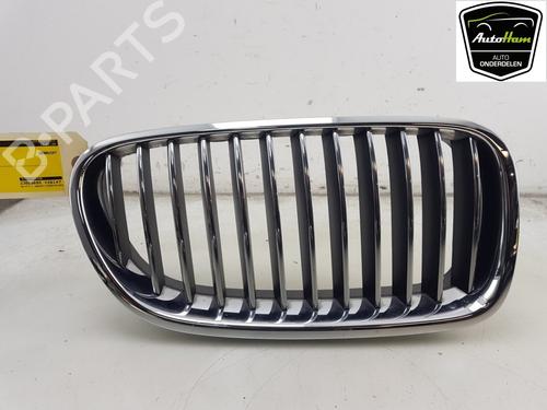 Grill BMW 5 (F10) 520 i (184 hp) 16678002