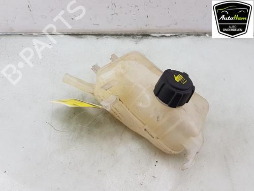 Used Expansion tank RENAULT MEGANE III Coupe (DZ0/1_) 2.0 TCe (DZ1N) (250 hp) 19771690
