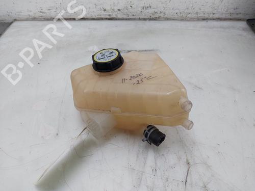 Used Expansion tank Expansion tank FORD B-MAX (JK) 1.0 EcoBoost (100 hp) 33812085 33812085